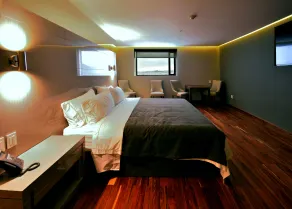 Holiday Inn Express Pachuca by IHG - Chambre
