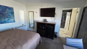 Flamingo Motel - Room