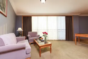Grand Noble Hotel - Vue de la chambre