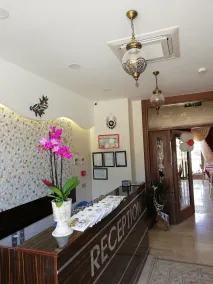 MORDOĞAN Zeytinli Konak Butik Hotel - Reception