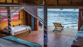 The Sea Monkey - Room