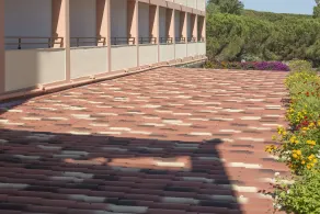 Hotel Oasis - Vue de la chambre