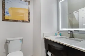 Comfort Inn Pensacola near NAS Corry Station - Bathroom