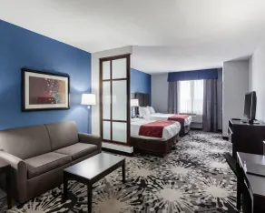 Comfort Suites Greenville - Chambre