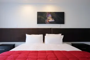 Stopforths Motel - Chambre