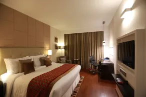 Radisson Blu Pune Hinjawadi - View from room
