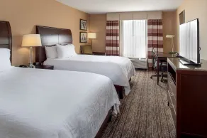 Hilton Garden Inn St. Louis Airport - Chambre