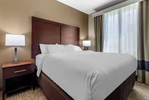 Comfort Suites Plano - Dallas North - Chambre