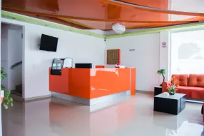 Hotel Los Pinos Express - Reception
