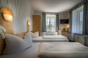 Hotel Regina - Chambre
