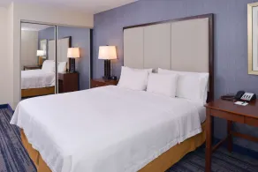 Homewood Suites by Hilton Dallas-Lewisville - Chambre