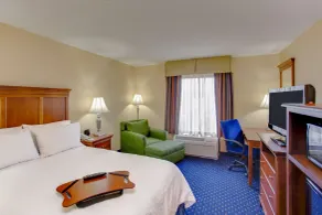Hampton Inn & Suites Fredericksburg South - Chambre