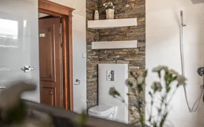 Villa Magnat SPA, JACUZZI, SAUNA, TĘŻNIA SOLANKOWA - Salle de bain