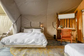Grow Tree Glamping - Room