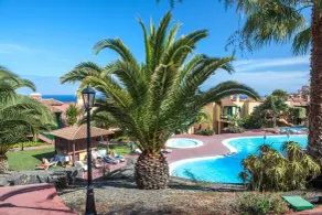 Apartamentos Oasis San Antonio - Pool
