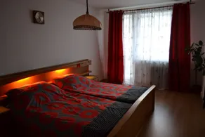 Apartment Alejní - Room