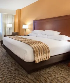Drury Plaza Hotel Indianapolis Carmel - Chambre