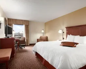 Hampton Inn Slidell - Chambre