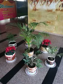 Hotel Dhanraj Palace - Hall