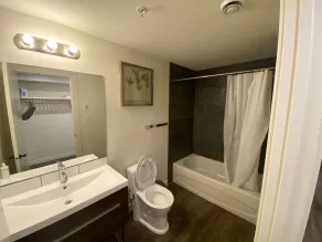 Brand New Dt 1 Br Close To All Edmonton, Canada - Bathroom
