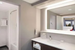 Hampton Inn & Suites Atlanta Airport North I-85 - Salle de bain