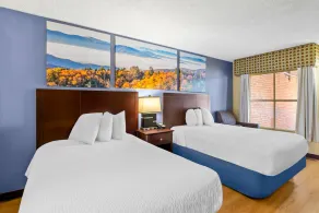 Days Inn by Wyndham Petersburg/South Fort Lee - Chambre