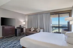 Hyatt Regency DFW International Airport - Chambre