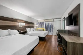 Econo Lodge Carlsbad Caverns Area - Chambre