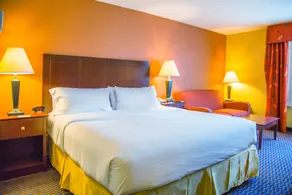 Holiday Inn Express Hotel & Suites Richland - Room