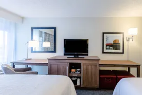 Hampton Inn Rochester-South - Chambre