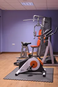 La Casona de la Roza - Area fitness