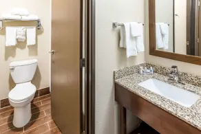 Comfort Inn Waukesha - Milwaukee West - Salle de bain