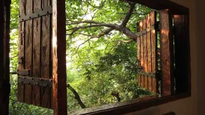 Chalé do Bosque - View from room
