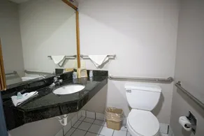 Best Western Morgan City Inn & Suites - Badezimmer