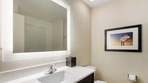 Gallus Stadium Park Inn, an Ascend Collection Hotel - Salle de bain
