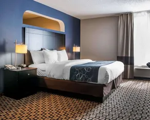 Comfort Suites Benton Harbor - St Joseph - Chambre