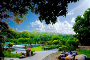 Corbett Wild Resort - A River Access Property - Pool