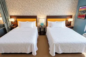 Home2 Suites by Hilton Edinburg, TX - Room