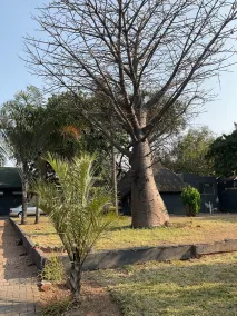Bothabelo Lodge - View from room