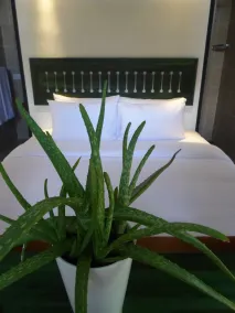 Sennya Resorts - Chambre