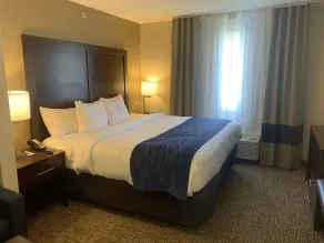 Comfort Inn & Suites Atoka - Værelse