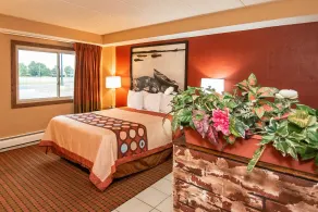 Super 8 by Wyndham Brooklyn Center/MPLS - Chambre