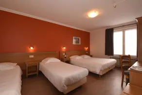 Hotel Sabot D'Or - Room