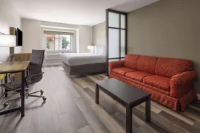 Days Inn By Wyndham Jackson Downtown - Chambre