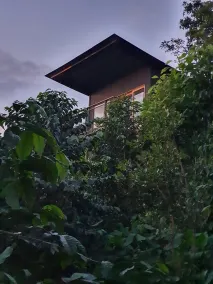 Hotel La Palma y El Tucán - Café y Naturaleza - Chambre