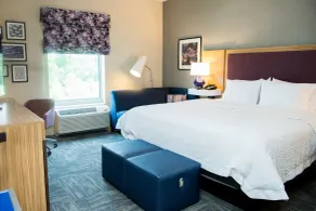 Hampton Inn & Suites by Hilton Warrington Horsham - Chambre