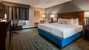 Best Western Woodhaven Inn - Chambre