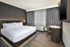 DoubleTree by Hilton Detroit Novi - Chambre
