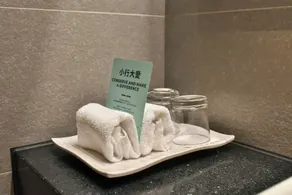 Holiday Inn Taoyuan Airport by IHG - Bathroom