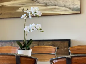 Barwon Heads Resort - Room